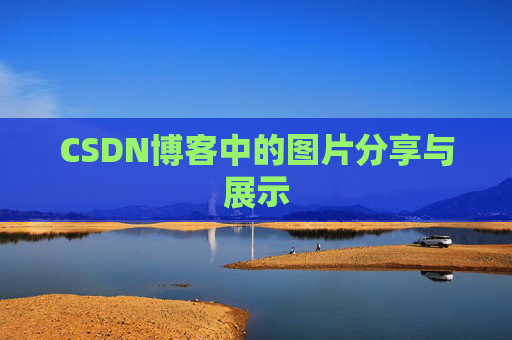 CSDN博客中的图片分享与展示